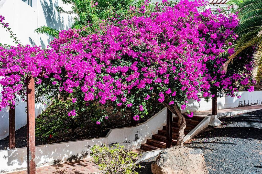 Vivienda Vacacional El Descanso コスタ・テギセ エクステリア 写真